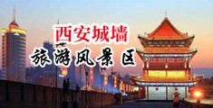 骚软嫩逼喷水免费视频中国陕西-西安城墙旅游风景区